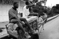 Foto Carretto Zanzibar - Foto Elvis Granitto